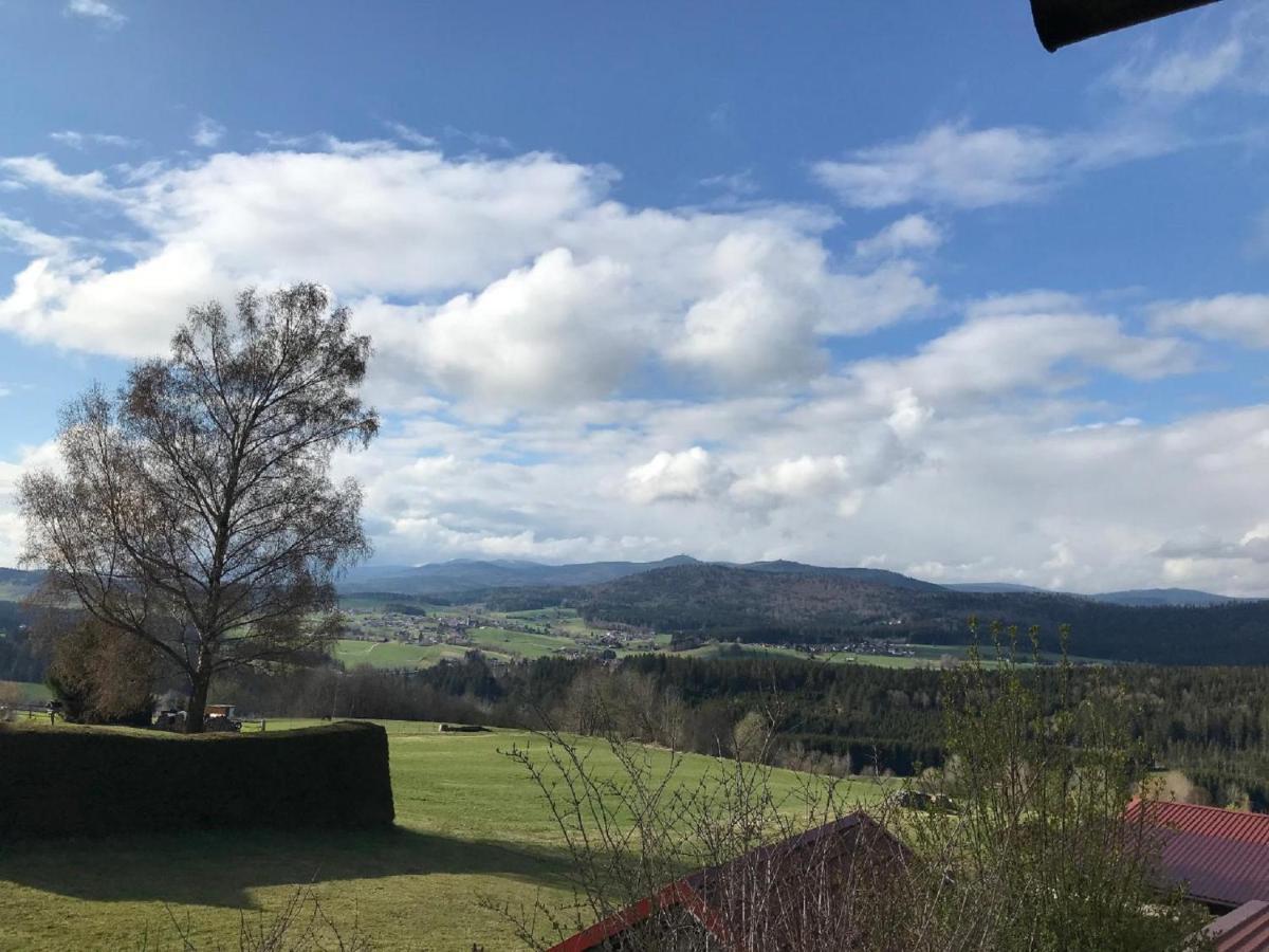 Ferienwohnungen Lusenblick Freyung Esterno foto